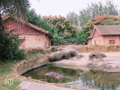 -南昌动物园