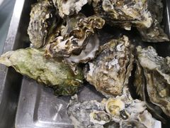 -渔民船说·北塘海鲜·天津菜·海肠捞饭(北塘古镇店)