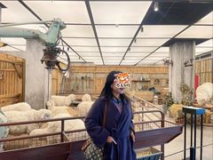 -淮扬府·游园京梦(北京SKP店)