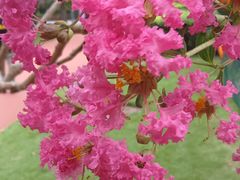 -杭州城北体育公园