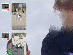 -波姐宠物家庭寄养