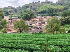 -杨家堂村