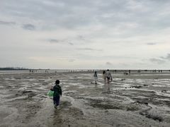 -红树林天天赶海