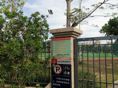 -立新湖公园