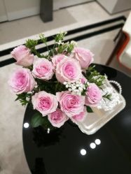 -奥斯芬欧系贵族SPA