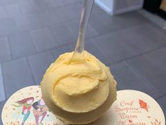 -野人先生现做冰淇淋(西安赛格店)