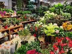 -双季花艺园艺市场(浦东店)