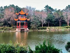 -日照海滨国家森林公园