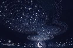 -天邑国际酒店·宴会厅