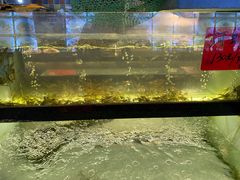 -侬佳蒸菜馆(听潮店)