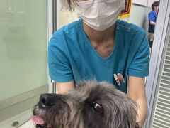 -美美宠物诊疗中心·异宠·骨科(滨江东信分院)