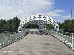 -同里国家湿地公园