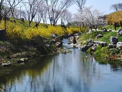 -羊山湖公园