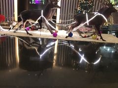 -天津水晶宫饭店