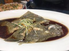 清蒸多宝鱼-松沪名灶·豆浆鱼头·新上海菜(飞航吾悦广场店)