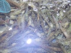 -聚盛源蒸汽海鲜火锅烤肉自助(巨川金海岸购物广场店)