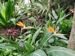 -北京植物园-展览温室