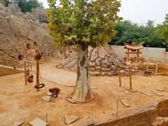 -石家庄市动物园