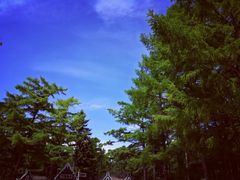 -黑龙江省森林植物园