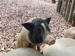 -北京野生动物园