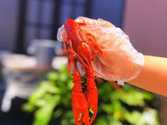 -霸王虾·小龙虾香辣蟹(玉林店)