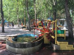 游乐设施-沈阳植物园