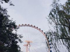 -北京石景山游乐园