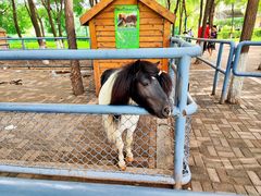 -长白岛森林公园