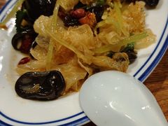黑木耳凉拌-新兴园饺子馆(河南街店)