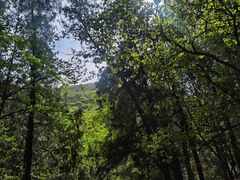 -香山公园