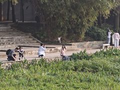 -南宁南湖公园