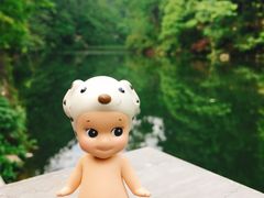 -黔灵山公园-南门售票处