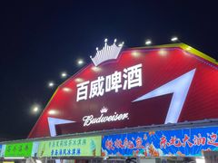 -第35届青岛国际啤酒节