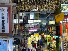 -猫咪博物馆(顶澳仔猫街店)