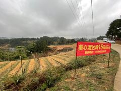 -美心红酒小镇游乐园