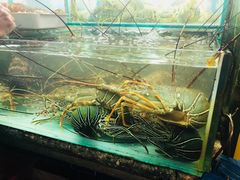 -班赞海鲜市场