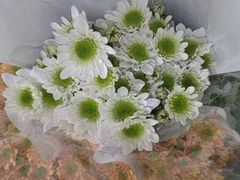 -循礼门鲜花花市(武汉循礼门店)