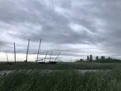 -太湖湖滨国家湿地公园-停车场
