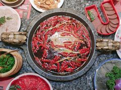 -蜀大侠火锅(建设路第五大道店)