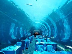 隧道餐厅-海棠湾洲际-涛·海底餐厅·美人鱼·自助餐·海底隧道