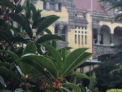 -青岛德国总督楼旧址博物馆