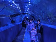 -秦皇岛新澳海底世界