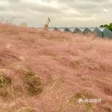 看展美拍运动 完全可以填满闲暇时光的地方