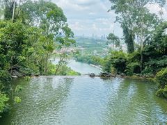 -水濂山森林公园