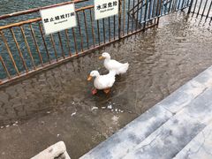 -山西乌金山旅游区