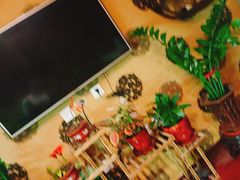-弘善堂推拿调理