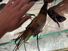 -Ministry of Crab(科伦坡店)