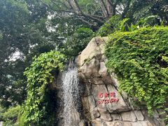-九龙公园