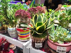 -大润发(国兴店)