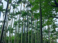 -荔枝公园(福田区)